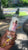 CEO Body Mist